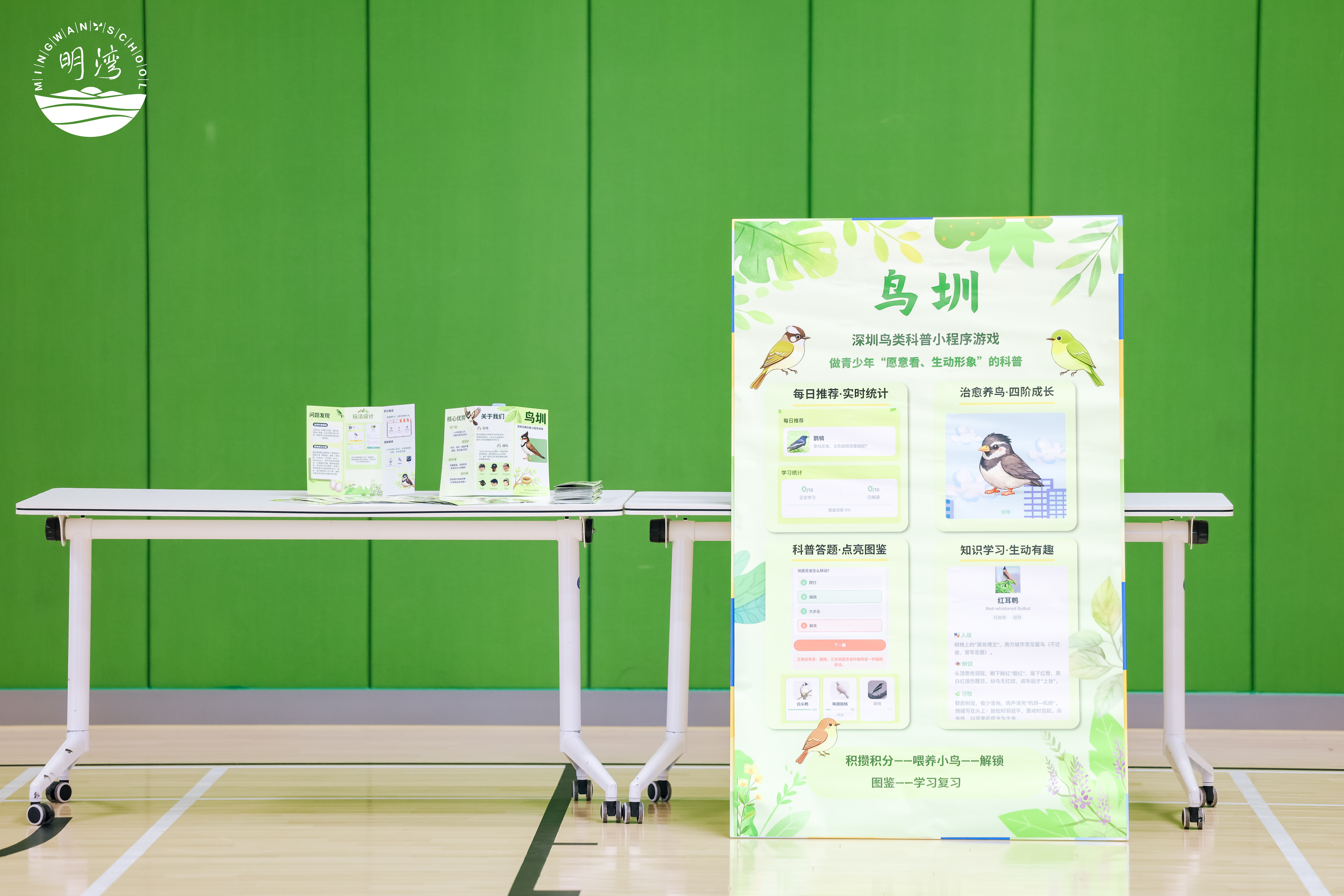 Niaozhen display materials: poster, trifold, and knowledge cards